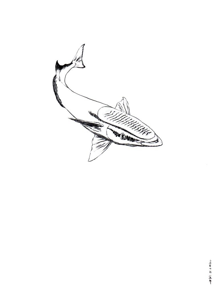 DanielZhang20151012_01