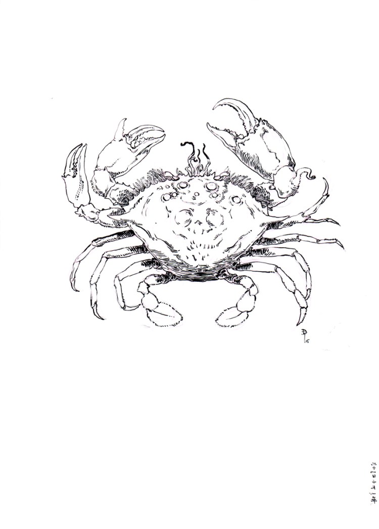 DanielZhang20151021_01