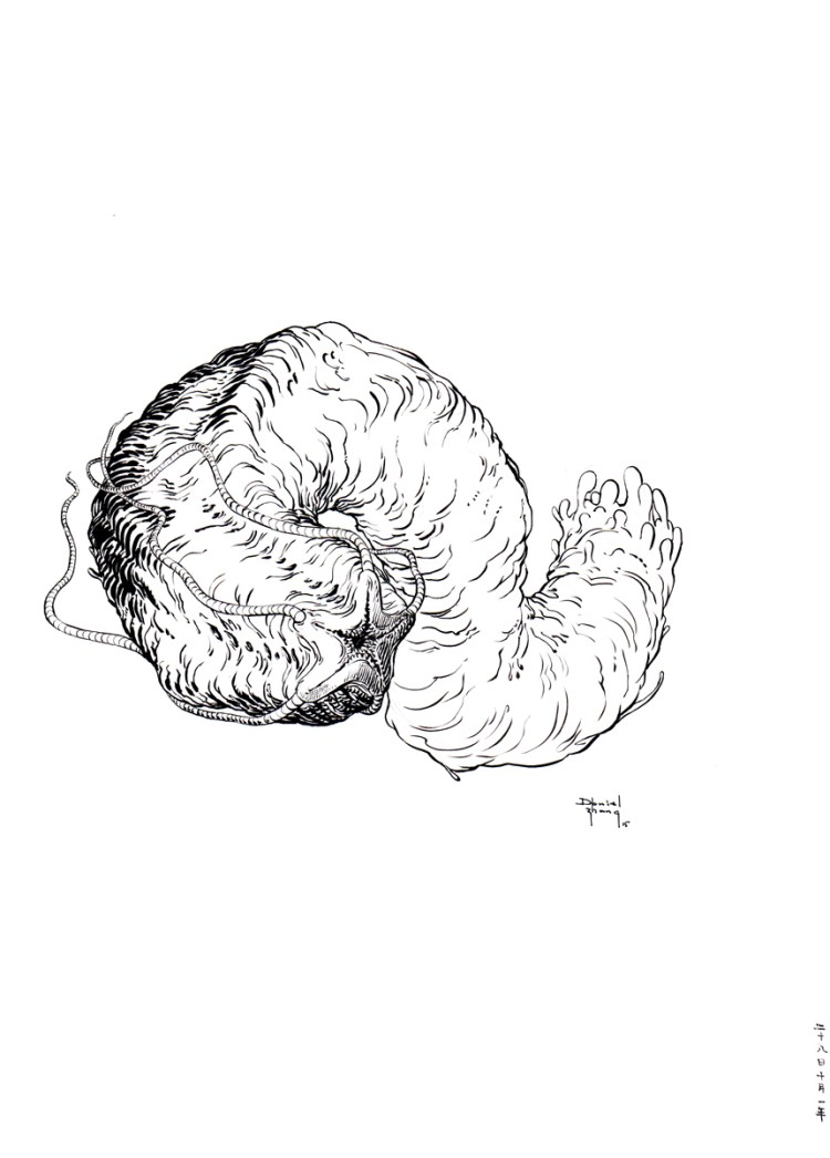 DanielZhang20151028_01